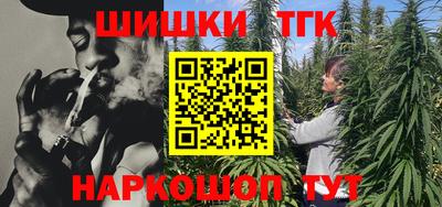 мет Кингисепп