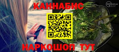 мет Кингисепп