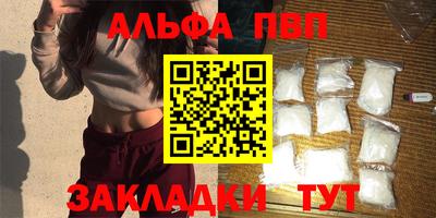 мет Кингисепп