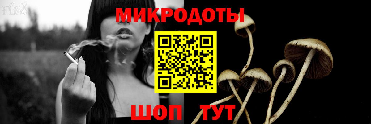 Псилоцибиновые грибы Psilocybe Шали